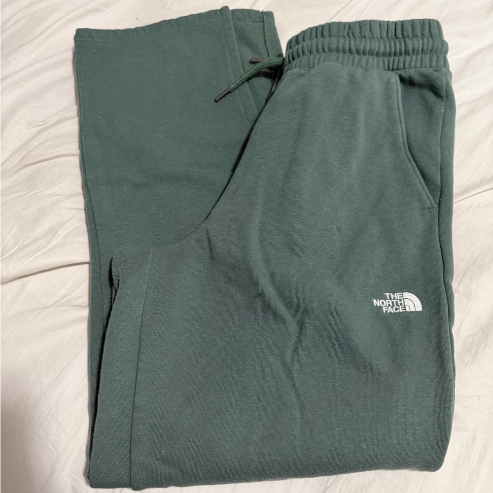 The North Face Evolution Sweatpants - image 1